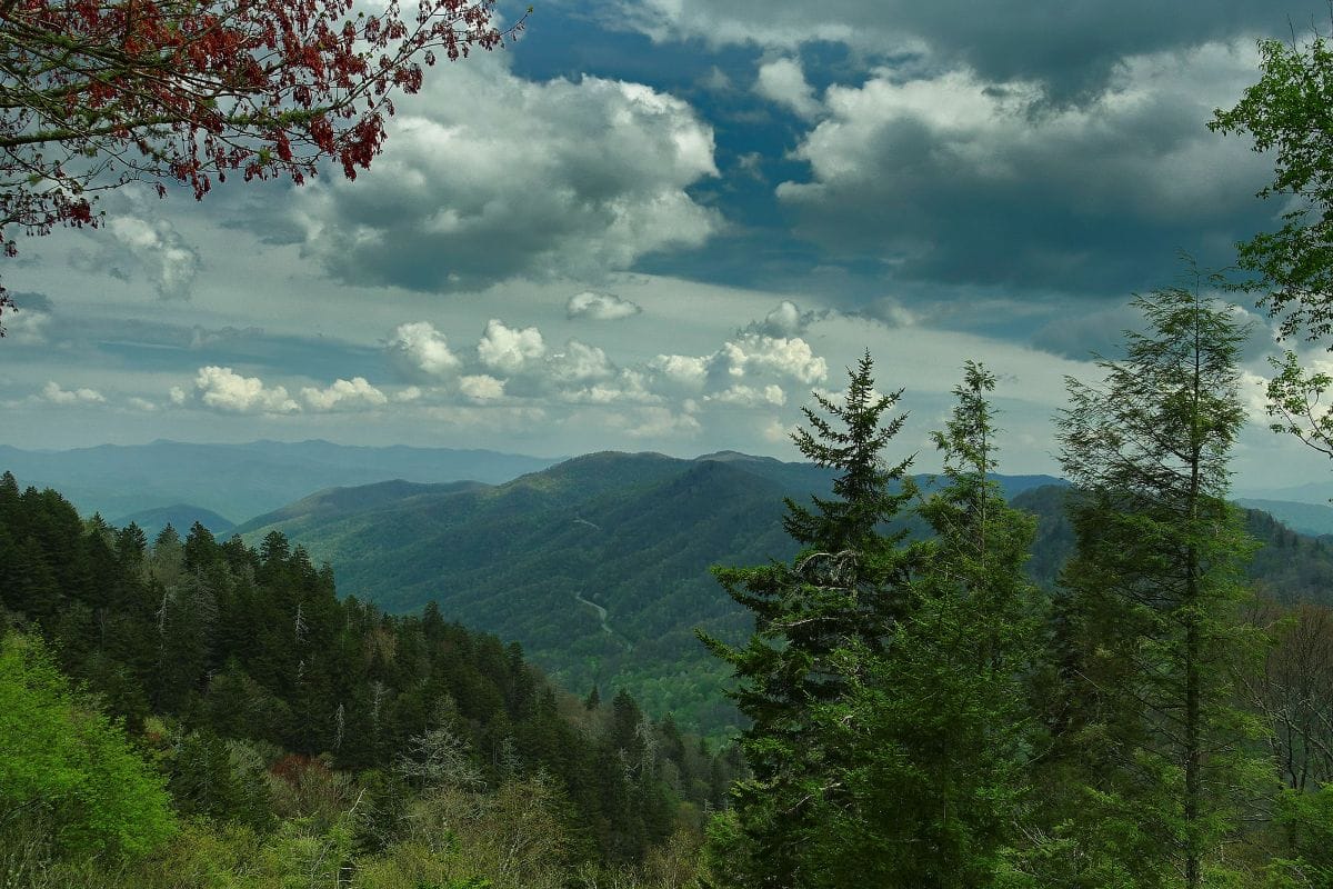 Best National Parks