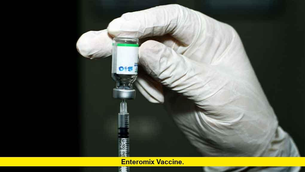 Is “Enteromix” the Breakthrough Cancer Vaccine We Need?